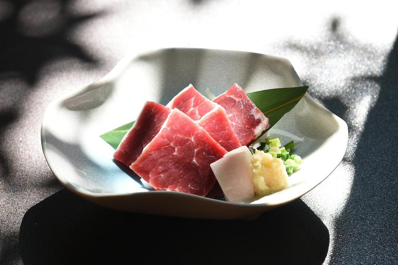 Hitoyoshi Ryokan Экстерьер фото